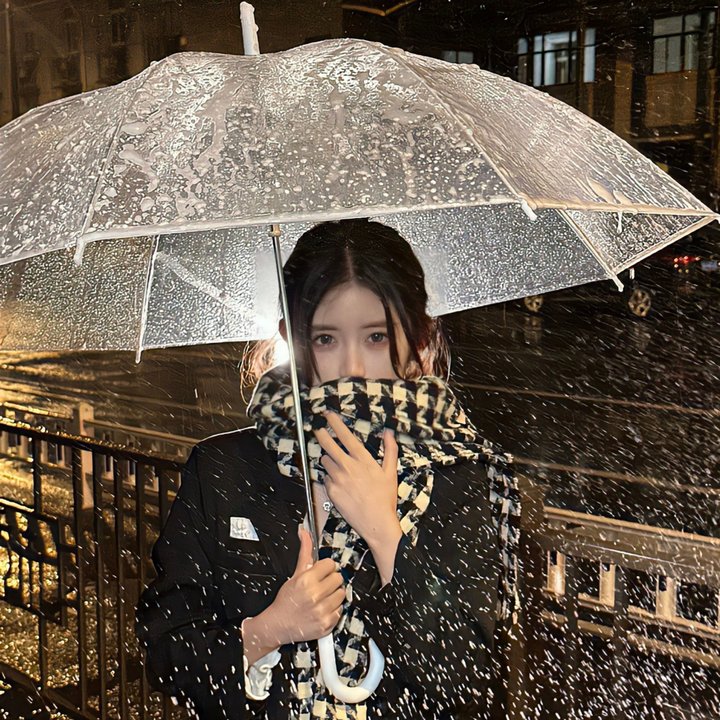 莉莉小姐的超完美日记